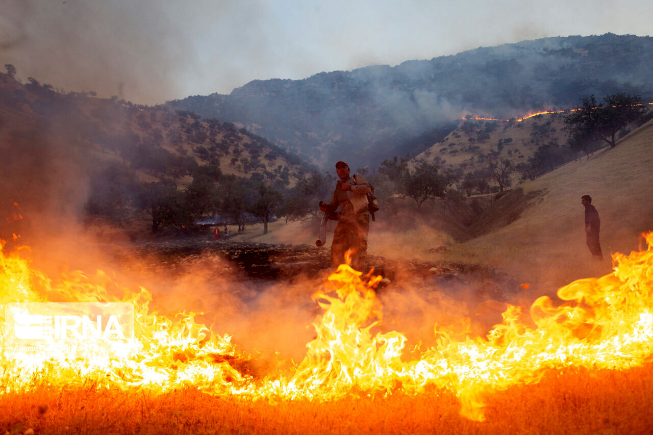 آتش‌سوزی در جنگل‌ها در چهارمحال و بختیاری